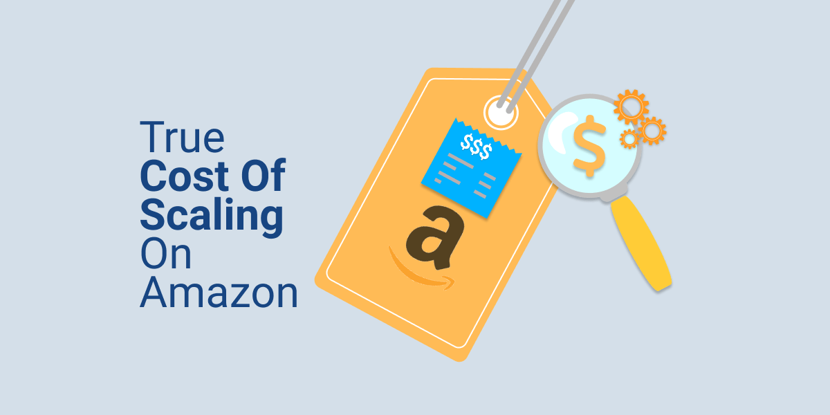 The True Cost of Scaling on Amazon Sunken Stone