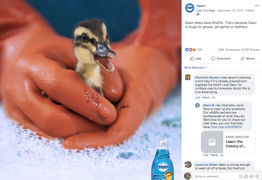 Dawn Use Storytelling In Social Media To Help Your Audience Achieve Their Goals