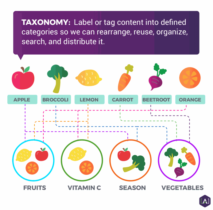 Metadata and Taxonomies