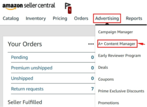 Accessing Amazon A content features by Sunken Stone min 300x219 1
