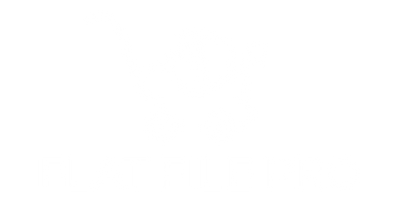 Flat File Pro Is Amazon Listing Software That Allows Nightly Backups 1 Click Restores User Permissions