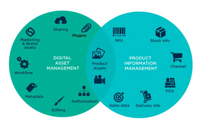 Media Asset Management